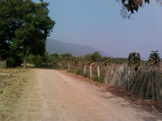 ขายที่ดินติดทางสาธารณะราคาถูก 28 ไร่ 1งาน ราคา 130,000 บาทต่อไร่ อ.สีคิ้ว ขายที่ดินติดทางสาธารณะราคาถูก 28 ไร่ 1งาน ราคา 130,000 บาทต่อไร่ อ.สีคิ้ว