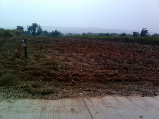 ขายที่ดิน  3ไร่ 2งาน 73ตรว. ราคา 650,000 บาทต่อไร่  (อ่างซับประดู่)