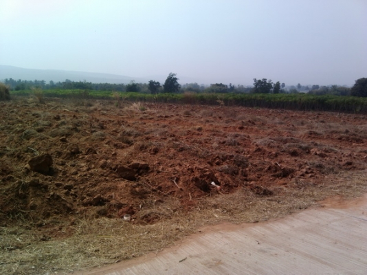 ขายที่ดิน  3ไร่ 2งาน 73ตรว. ราคา 650,000 บาทต่อไร่  (อ่างซับประดู่)