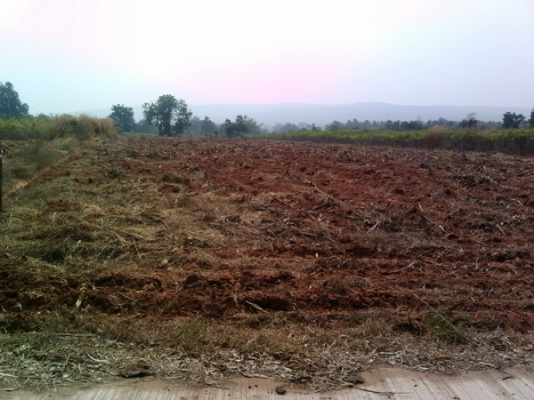 ขายที่ดิน  3ไร่ 2งาน 73ตรว. ราคา 650,000 บาทต่อไร่  (อ่างซับประดู่)