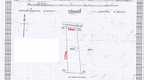 ขายที่ดิน  3ไร่ 2งาน 73ตรว. ราคา 650,000 บาทต่อไร่  (อ่างซับประดู่)