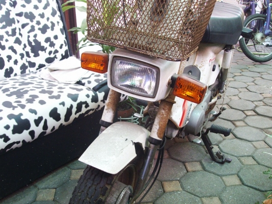 *** ขาย ขาวๆจากญี่ปุ่น ***