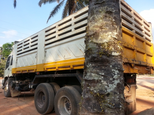 ISUZU FXZ  ติดต่อปารวี   0839686255