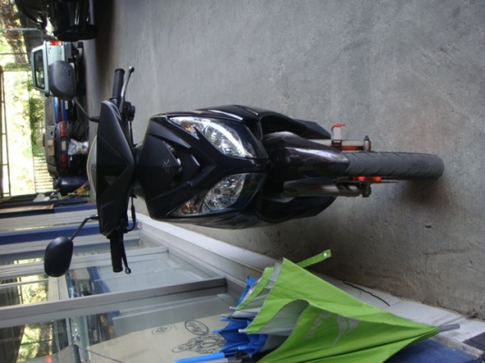 มี 2 ตา ปี 54 มี 2 ตา ปี 54