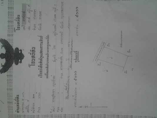 ขายสวนยางพาราพร้อมกรีด  15  ไร่  2 งานเศษ