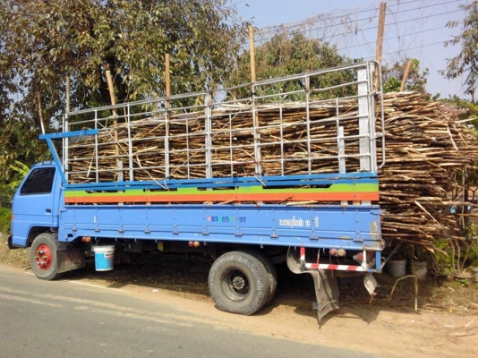 ขายด่วน รถ6ล้อ ISUZU ELF 135แรงม้า