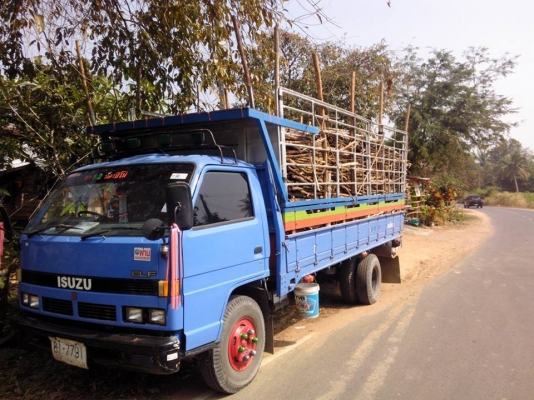 ขายด่วน รถ6ล้อ ISUZU ELF 135แรงม้า