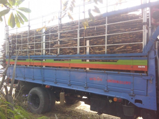 ขายด่วน รถ6ล้อ ISUZU ELF 135แรงม้า