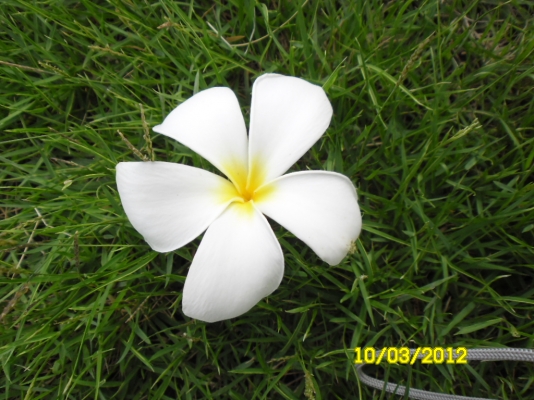 ขายที่ดินทำเลทองติดถนนบางนาตราด19ไร่38ตรว.