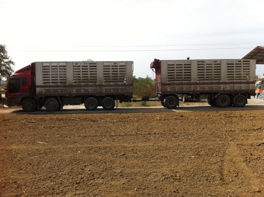 ขายรถพ่วง 24 ล้อ 2 เพลา แม่-ลูก กระบะเหล็กคอกเกษตรไม่ดั้ม ISUZU GIGR 6WA1 ปี.54-55 รถสวย พร้อมใช้