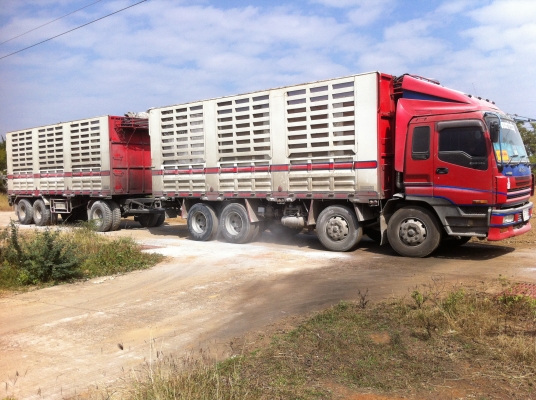 ขายรถพ่วง 24 ล้อ 2 เพลา แม่-ลูก กระบะเหล็กคอกเกษตรไม่ดั้ม ISUZU GIGR 6WA1 ปี.54-55 รถสวย พร้อมใช้