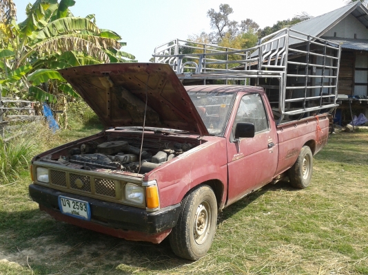 รถกระบะNISSAn ฝาขาว เครื่อง2500 ขายแต่รถไม่ขายคอกครับ