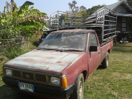 รถกระบะNISSAn ฝาขาว เครื่อง2500 ขายแต่รถไม่ขายคอกครับ