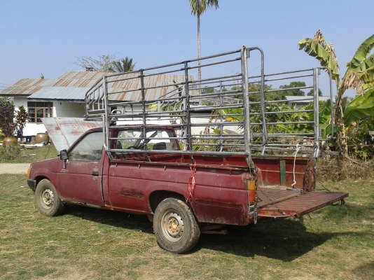 รถกระบะNISSAn ฝาขาว เครื่อง2500 ขายแต่รถไม่ขายคอกครับ