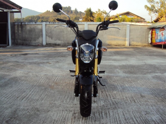 ขาย MSX125 ป้ายแดง