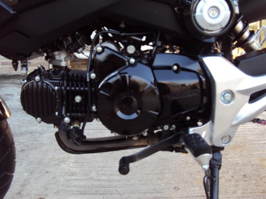 ขาย MSX125 ป้ายแดง