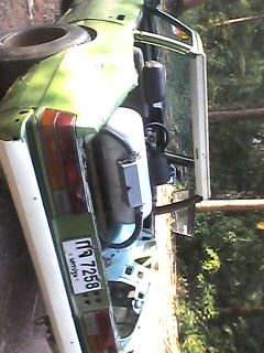 มิตซู มิตซู