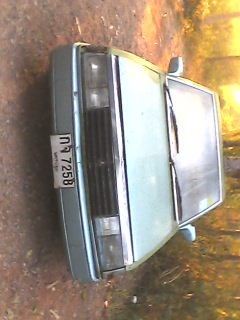 มิตซู มิตซู