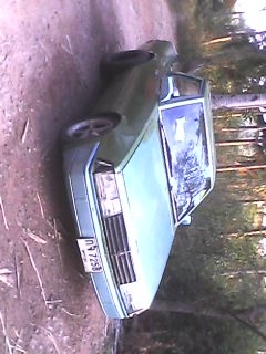 มิตซู มิตซู