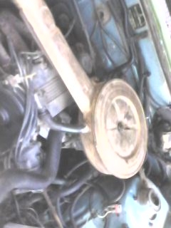 มิตซู มิตซู