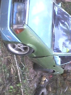 มิตซู มิตซู