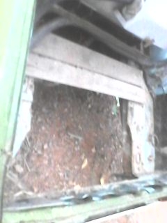 มิตซู มิตซู