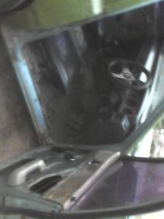 มิตซู มิตซู