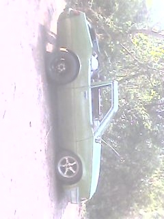 มิตซู มิตซู