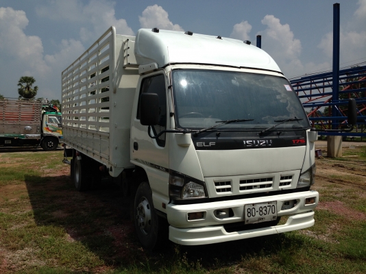 ISUZU NQR 175 แรง ปี 49 ยาว5.50 ม. ISUZU NQR 175 แรง ปี 49 ยาว5.50 ม.
