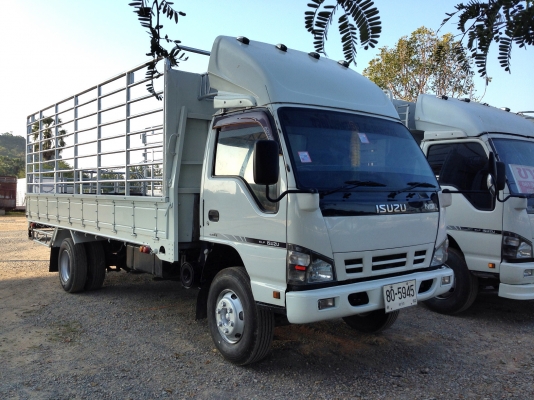 ISUZU NQR 150 แรง ปี 49 ยาว 5.50 ม.