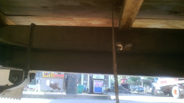 อีแต๋นน้อยสภาพพอใช้งาน ไม่แพงพอซื้อไว้ใช้งานตัวเอง โทรเลย 081-0745778 ลุงโหนกรับสายจ้า อยู่โคราชบ้านเอง