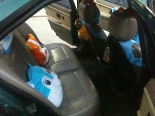 แรง ภายนอกหล่อ ภายในสวยคิ๊กขุเอาใจสาวช่วงล่างแน่น180 นิ่ง