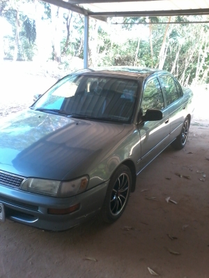 cololla auto หัวขีด กระจกไฟฟ้า 85000