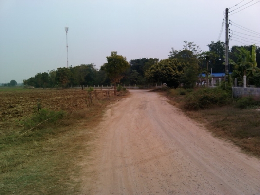 ขายด่วนที่ดิน 6 ไร่ ราคา 220,000 บาทต่อไร่  บ้านโนนประดู่ อ.สีคิ้ว