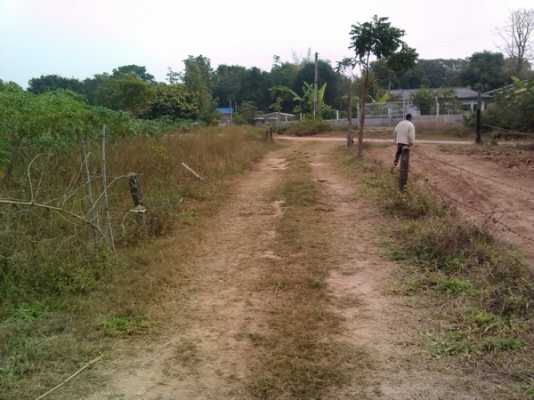 ขายด่วนที่ดิน 6 ไร่ ราคา 220,000 บาทต่อไร่  บ้านโนนประดู่ อ.สีคิ้ว