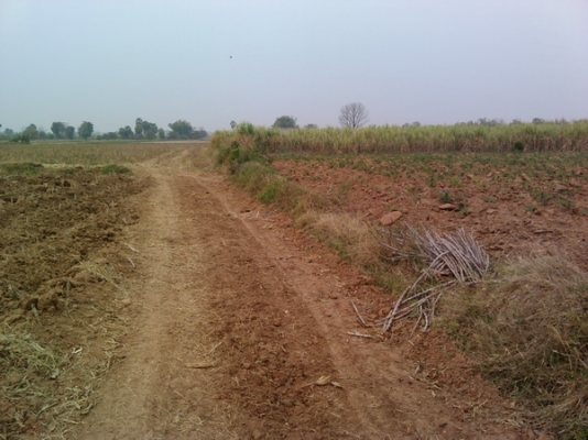 ขายด่วนที่ดิน 6 ไร่ ราคา 220,000 บาทต่อไร่  บ้านโนนประดู่ อ.สีคิ้ว