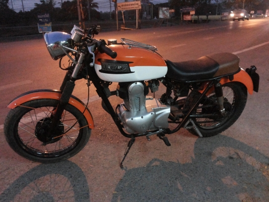 ขาย Triumph T100