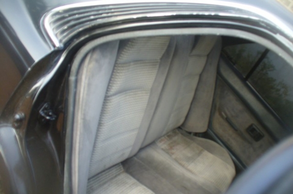 ขายโดเรม่อน สักคัน ขายโดเรม่อน สักคัน