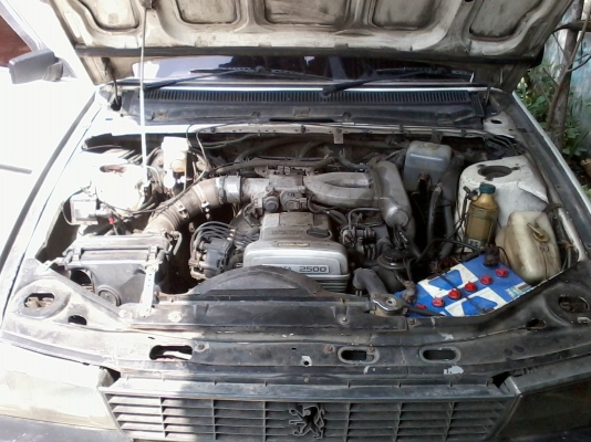 ขายPEUGEOT 505 ปี1984 สีขาว ขายPEUGEOT 505 ปี1984 สีขาว