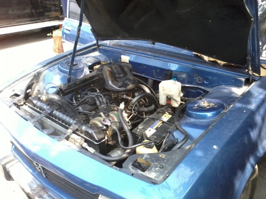 ขายPEUGEOT 504 ปี1978 สีน้ำเงิน ขายPEUGEOT 504 ปี1978 สีน้ำเงิน