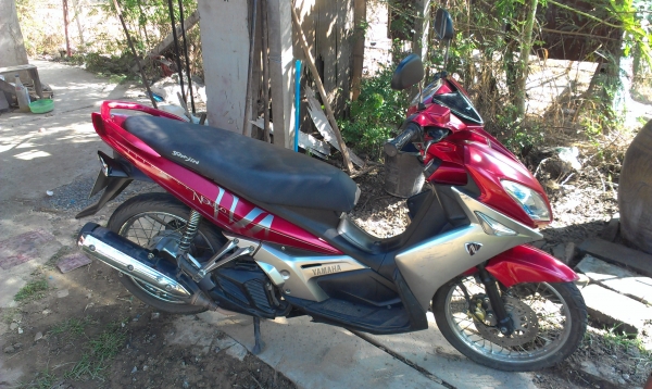 ขายนูโวอิริแกรน 135