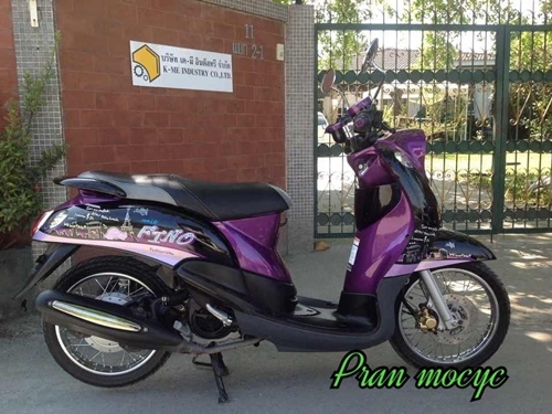 ขายfinoม่วงดำ ปี2013 ขายfinoม่วงดำ ปี2013