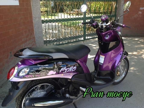 ขายfinoม่วงดำ ปี2013 ขายfinoม่วงดำ ปี2013