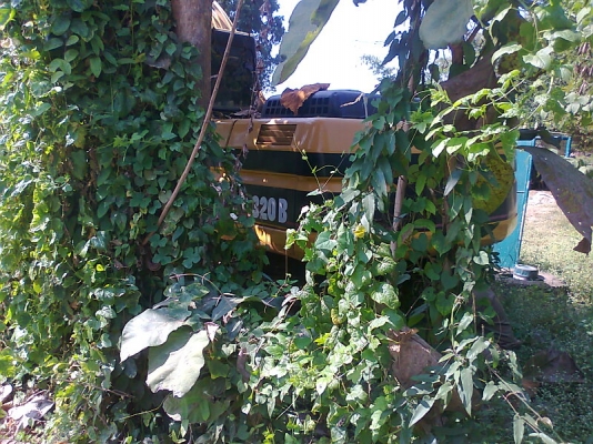 รถแบคโฮ CAT 320 B รถใช้งานดีปกติ มีทะเบียนครบ ชอบราคาเท่าไรต่อรองได้ครับ