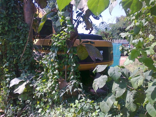 รถแบคโฮ CAT 320 B รถใช้งานดีปกติ มีทะเบียนครบ ชอบราคาเท่าไรต่อรองได้ครับ