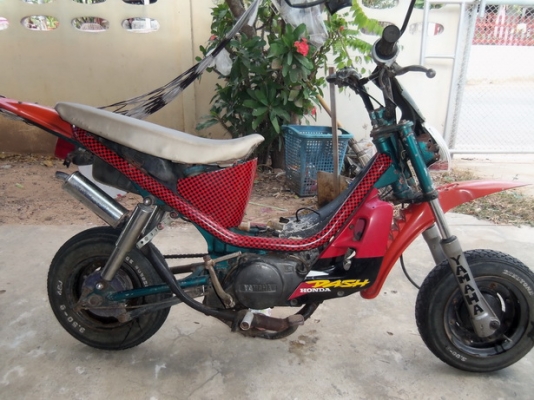 ขายชิปปี้แต่งวิบาก 3,900บาท