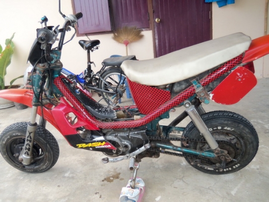 ขายชิปปี้แต่งวิบาก 3,900บาท