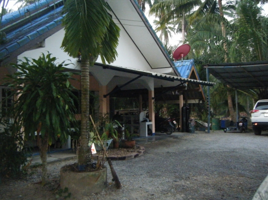 บ้านเดี่ยวพร้อมที่ดิน 1ไร่ บ้านเดี่ยวพร้อมที่ดิน 1ไร่