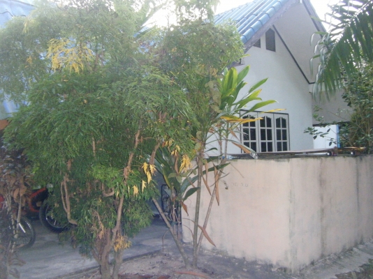 บ้านเดี่ยวพร้อมที่ดิน 1ไร่ บ้านเดี่ยวพร้อมที่ดิน 1ไร่