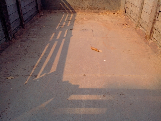 ขายรถดั๊ม 10 ล้อ หัวยาว ISUZU เครื่อง 6BB1 145 แรงม้าเพลาเดียว